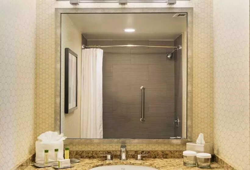 سوئیت 2 خوابه, Doubletree Suites By Hilton Austin Downtown Capitol