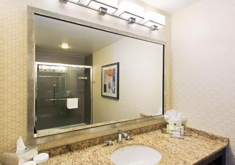 سوئیت با تخت بزرگ, Doubletree Suites By Hilton Austin Downtown Capitol