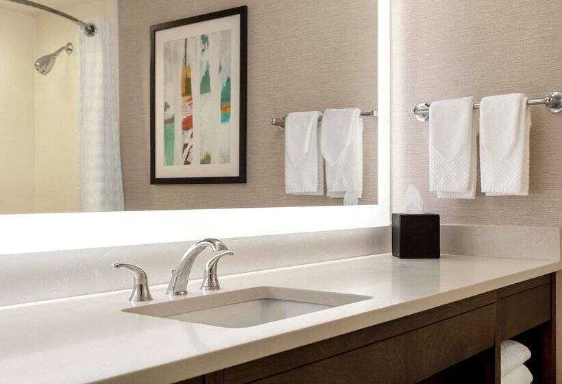 스위트, Embassy Suites By Hilton Baltimore At Bwi Airport