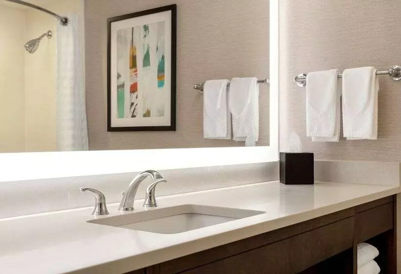 سوییت, Embassy Suites By Hilton Baltimore At Bwi Airport