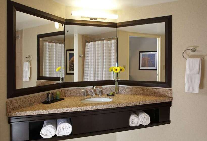 带大床的套房, Embassy Suites By Hilton Baltimore At Bwi Airport