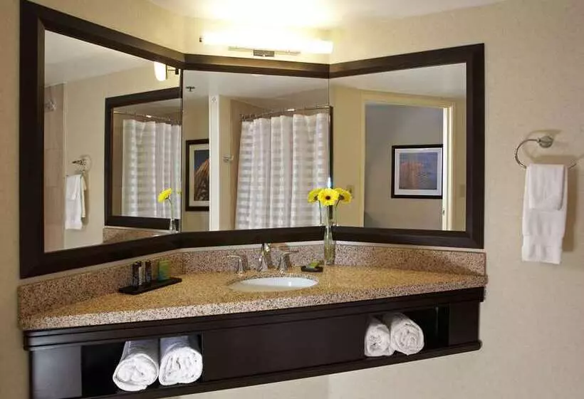 سوئیت با تخت بزرگ, Embassy Suites By Hilton Baltimore At Bwi Airport