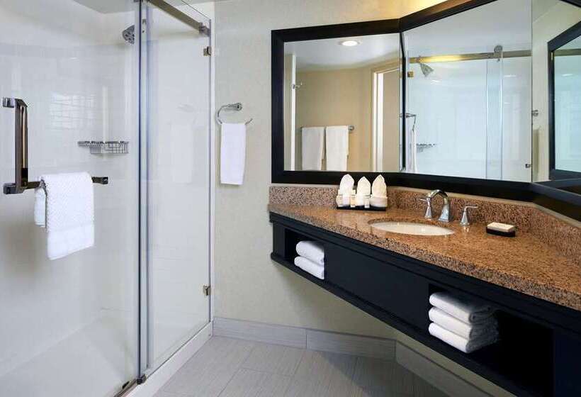스위트 킹사이즈 침대, Embassy Suites By Hilton Baltimore At Bwi Airport
