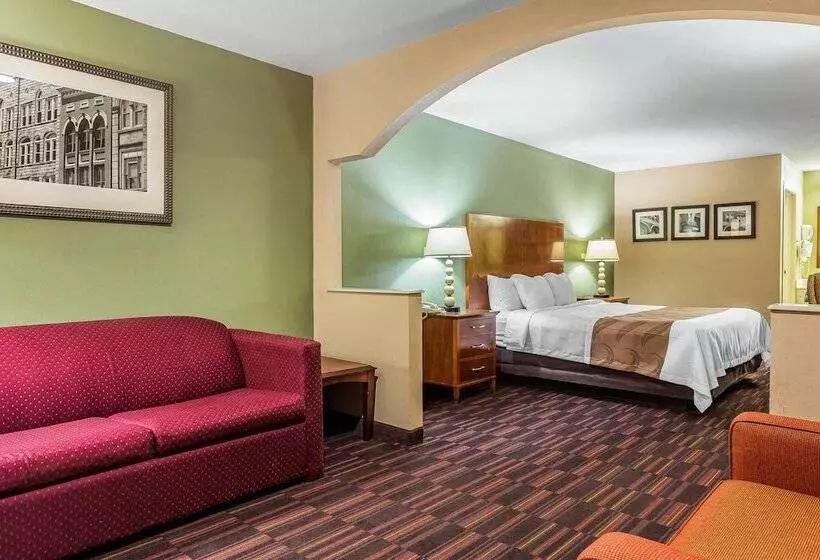 スイート, Quality Inn & Suites Near Robins Air Force Base