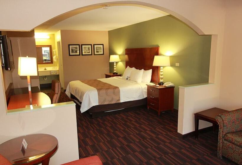 套房, Quality Inn & Suites Near Robins Air Force Base