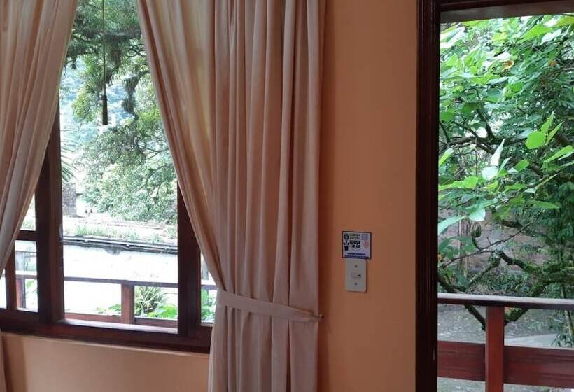 スタンダードルーム, El Pedron