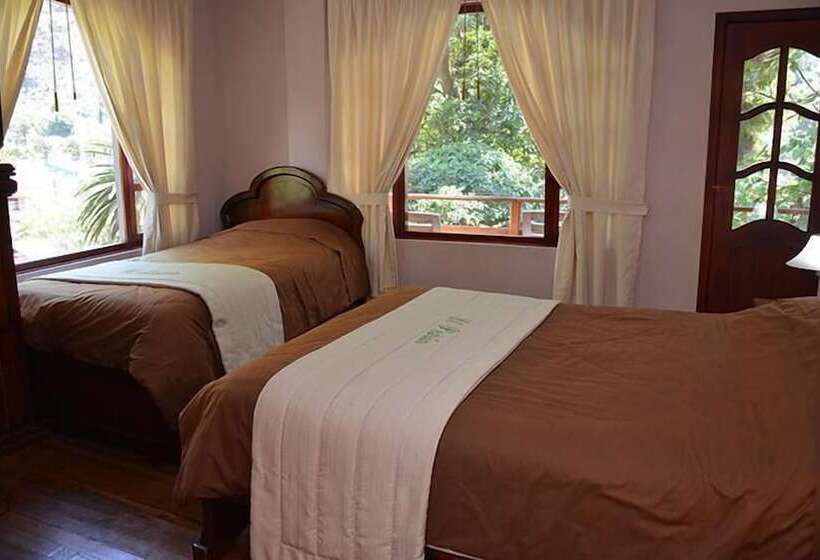 スタンダードトリプルルーム, El Pedron