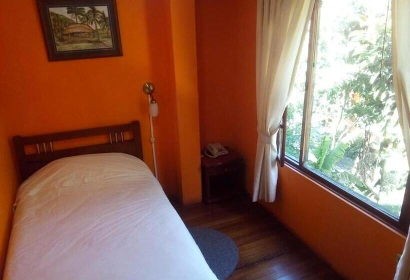 スタンダードシングルルーム, El Pedron