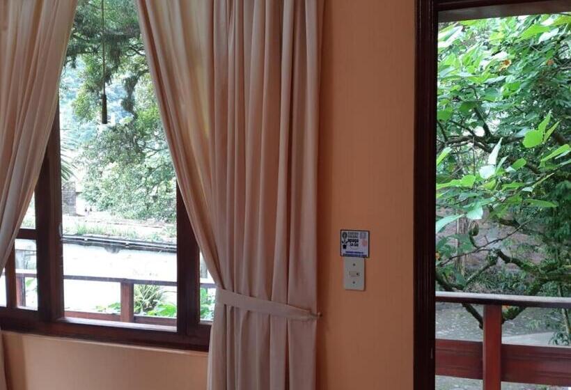 スタンダードルーム, El Pedron