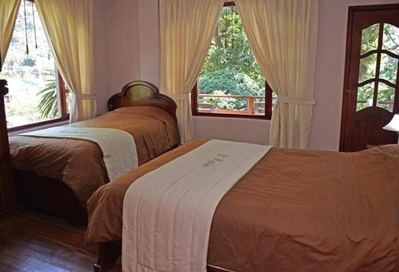 スタンダードトリプルルーム, El Pedron