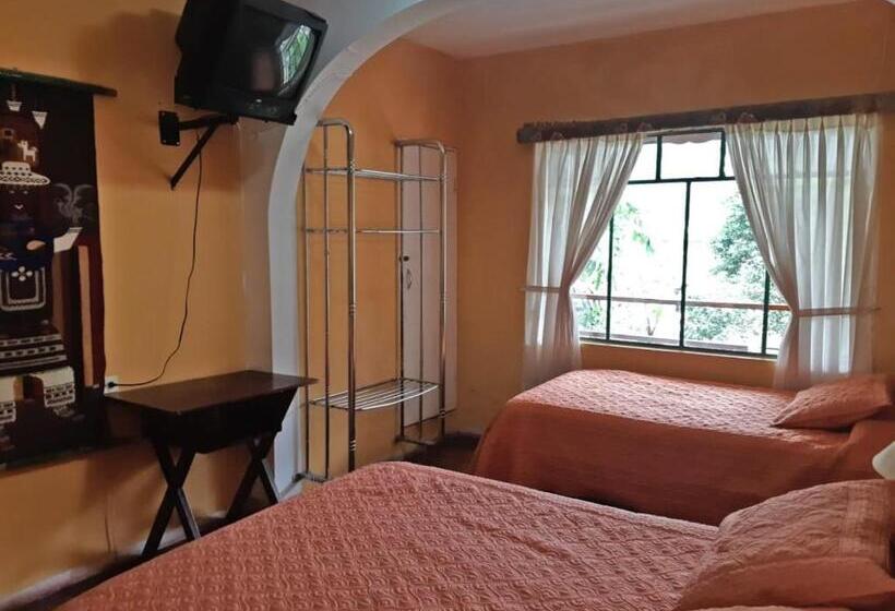 スタンダードトリプルルーム, El Pedron