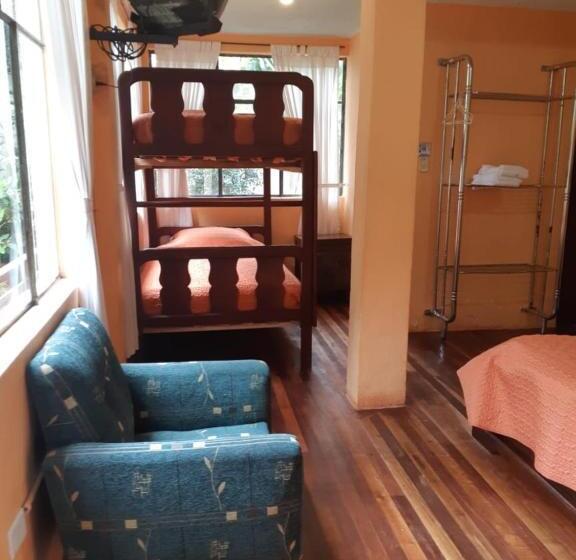 スタンダード４人部屋, El Pedron