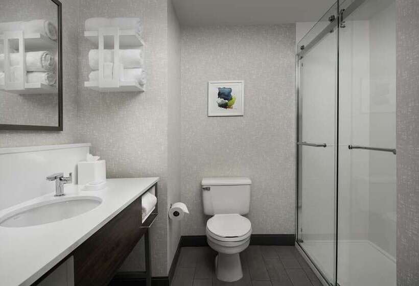 חדר סטנדרט, Hampton Inn Patterson