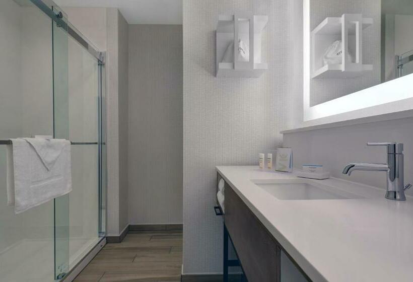 סטודיו סטנדרט, מיטה זוגית, Hampton Inn Patterson