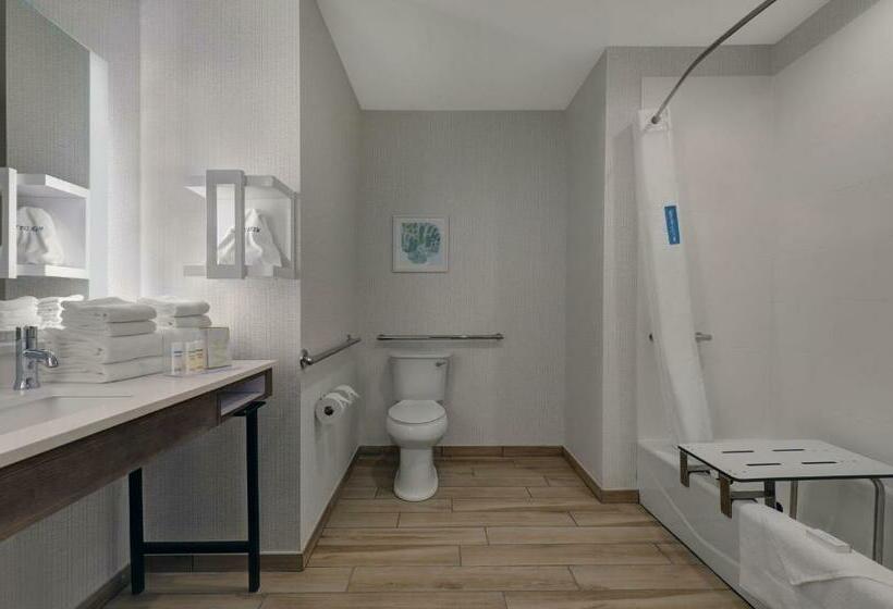 חדר סטנדרט מותאם לאדם עם מוגבלויות, Hampton Inn Patterson