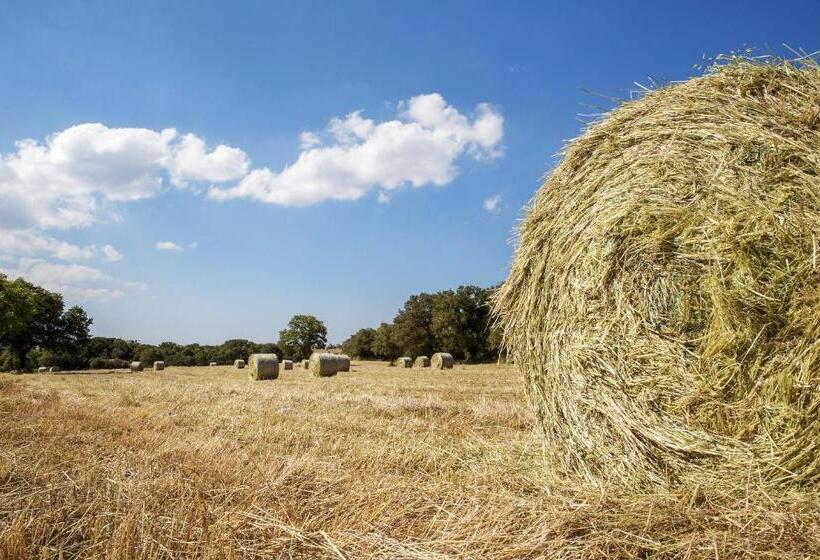 Номер Deluxe, Masseria Cappella