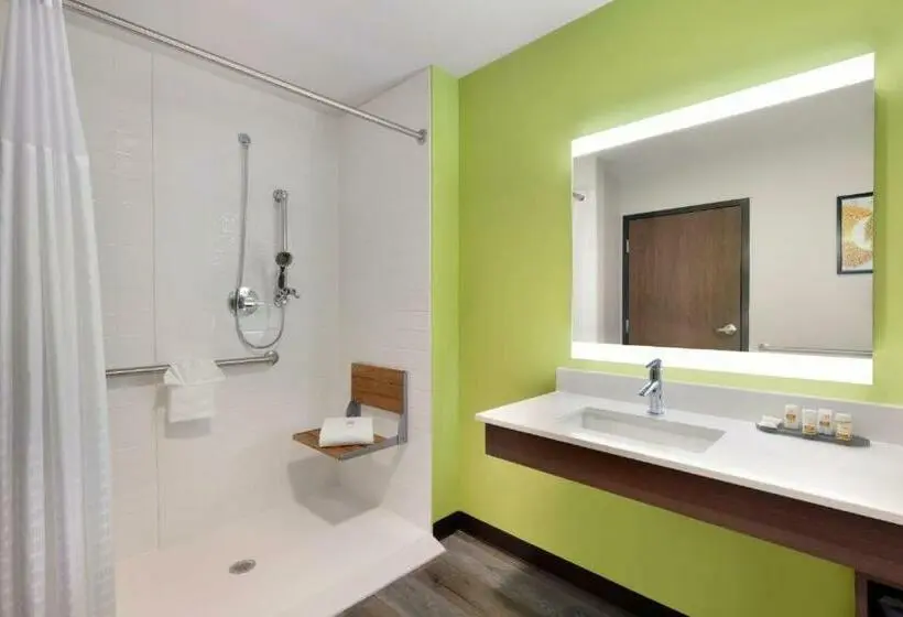 身障者適用キングサイズベッドルーム, La Quinta Inn & Suites By Wyndham Braselton