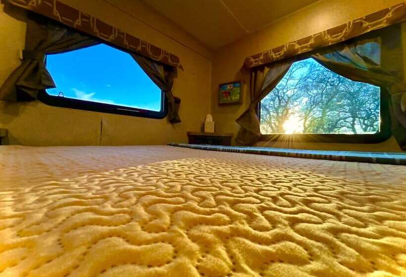 带双人床的基本房间, The Alexander At Creek Road