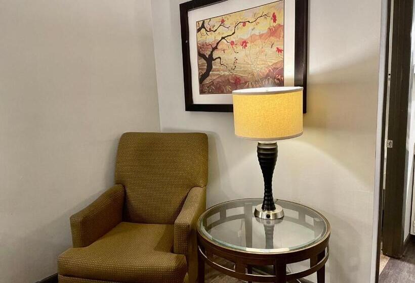 غرفة ديلوكس سرير كينج, Alpine Village Inn