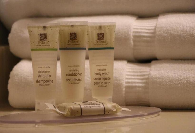 غرفة ديلوكس, Alpine Village Inn