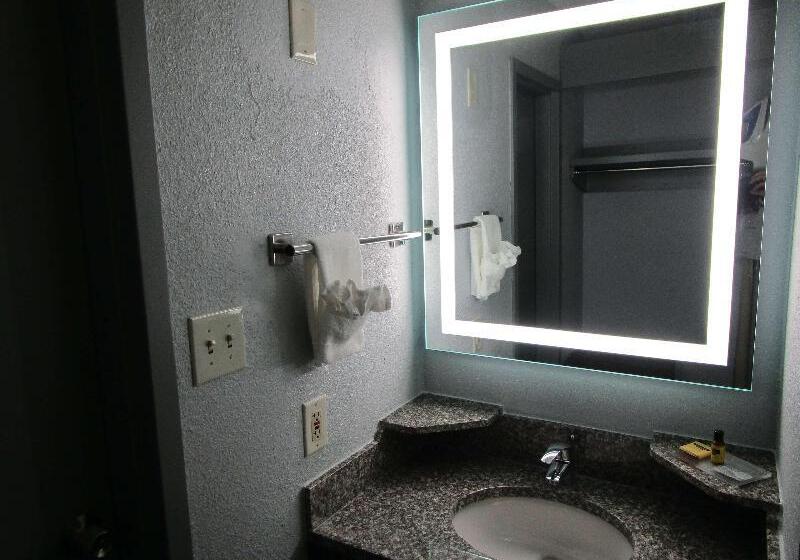 غرفة قياسية سرير كينج, Best Western Plus St. Louis Westwestport