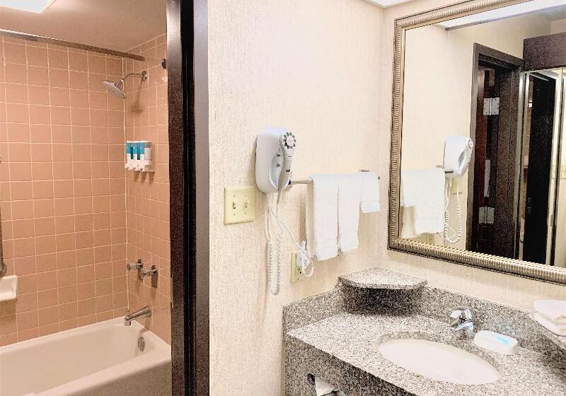 غرفة قياسية سرير كينج, Best Western Plus St. Louis Westwestport