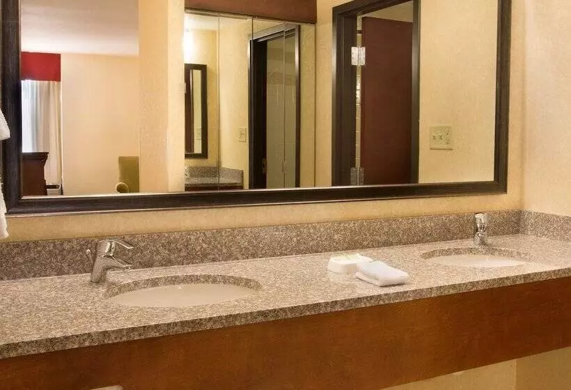デラックスルーム, Drury Inn & Suites Charlotte University Place