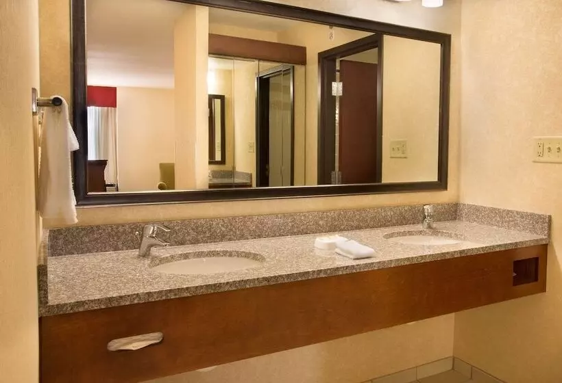 障害者適応デラックスルーム, Drury Inn & Suites Charlotte University Place