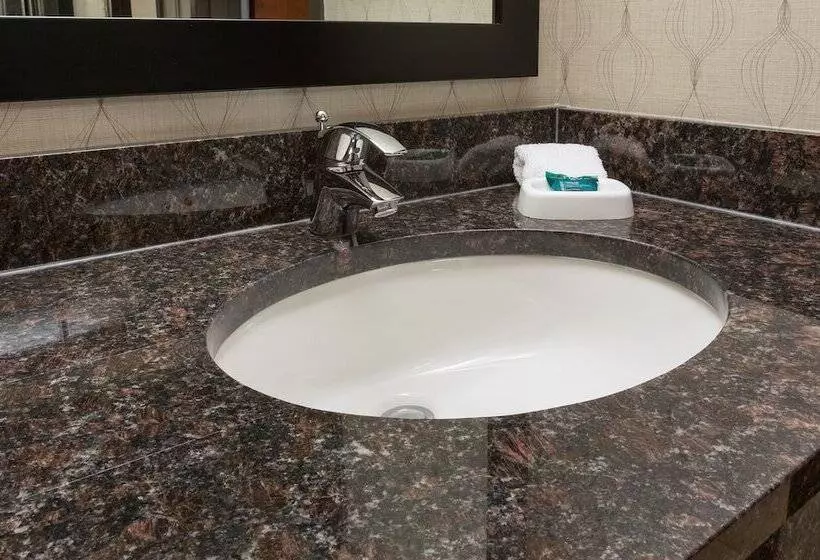 障害者適応デラックスルーム, Heritage Inn & Suites The Woodlands, Trademark By Wyndham