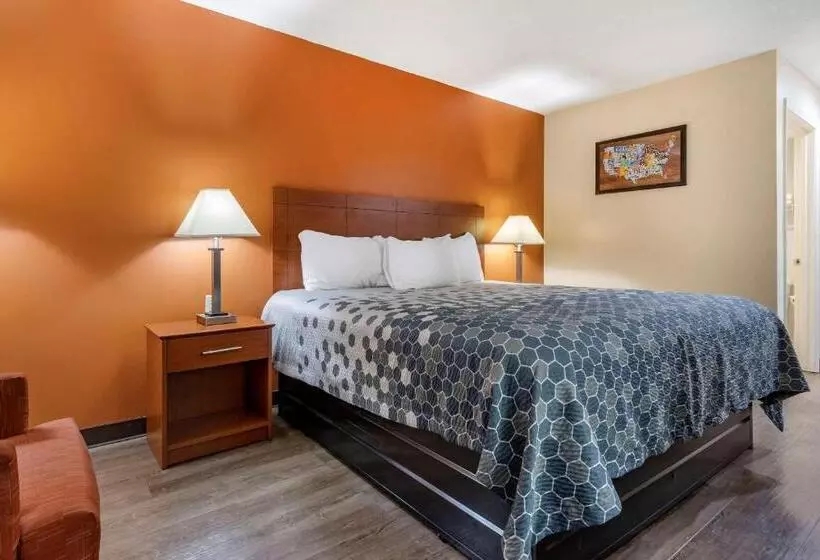Standard-huone King-vuode, Econo Lodge