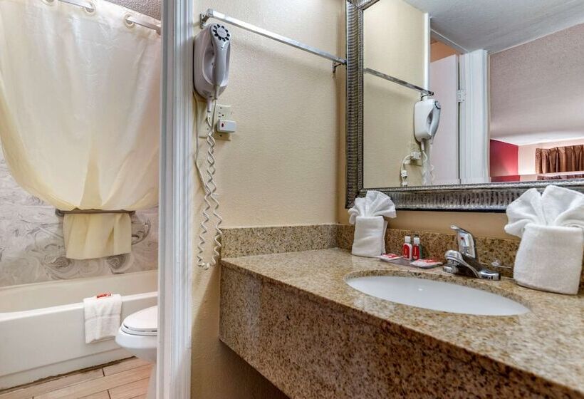 ２ダブルベッドのスタンダードルーム, Econo Lodge