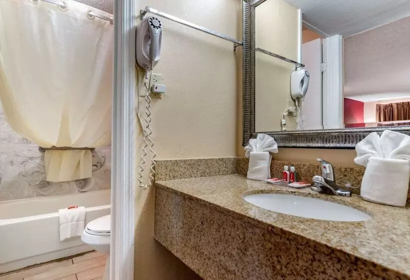 ２ダブルベッドのスタンダードルーム, Econo Lodge