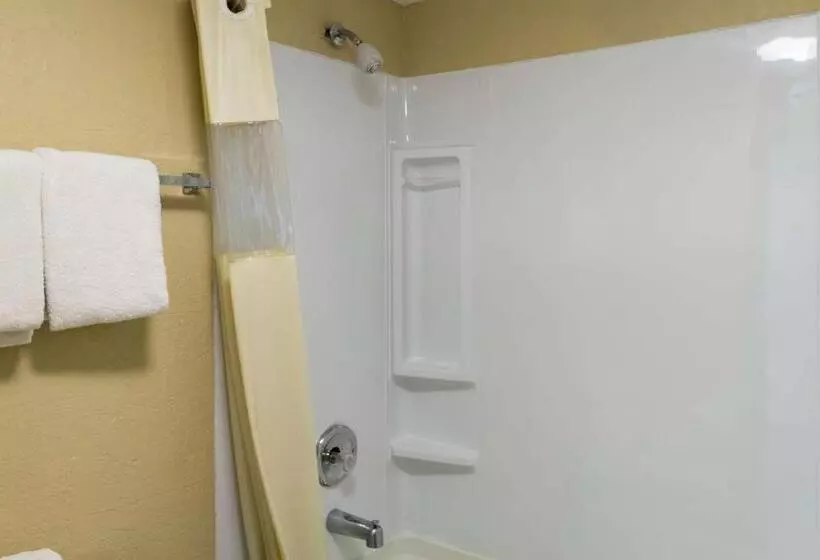 キングサイズベッドのスタンダードルーム, Motel 75 Monroe