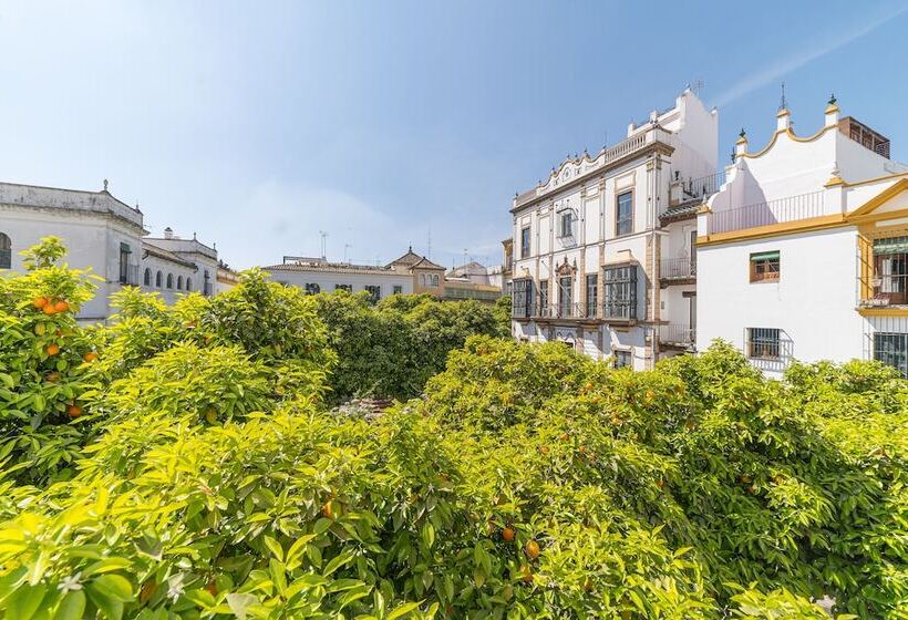 اتاق سوپریور, Rey Don Pedro Luxury Home