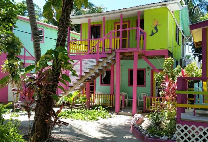 בקתה סטנדרטית, Barefoot Beach Belize