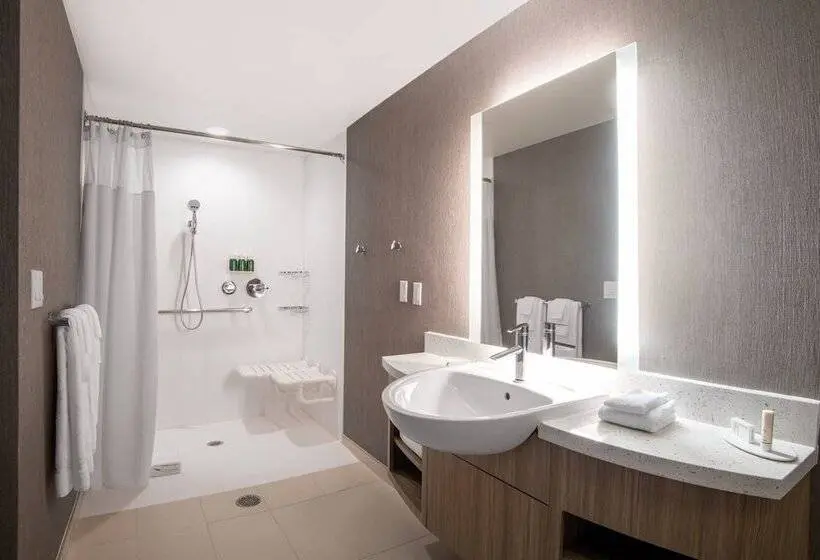 スイート, Springhill Suites Denver Parker