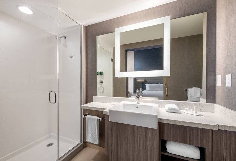 Люкс, Springhill Suites Denver Parker