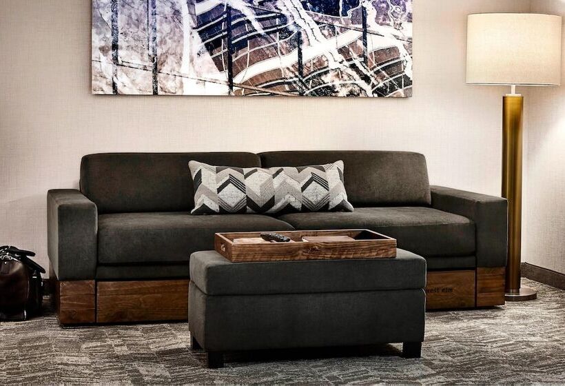 Люкс, Springhill Suites Denver Parker
