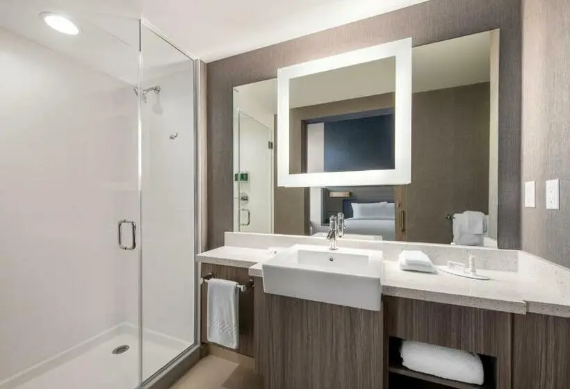 キングサイズベッドのスイートルーム, Springhill Suites Denver Parker