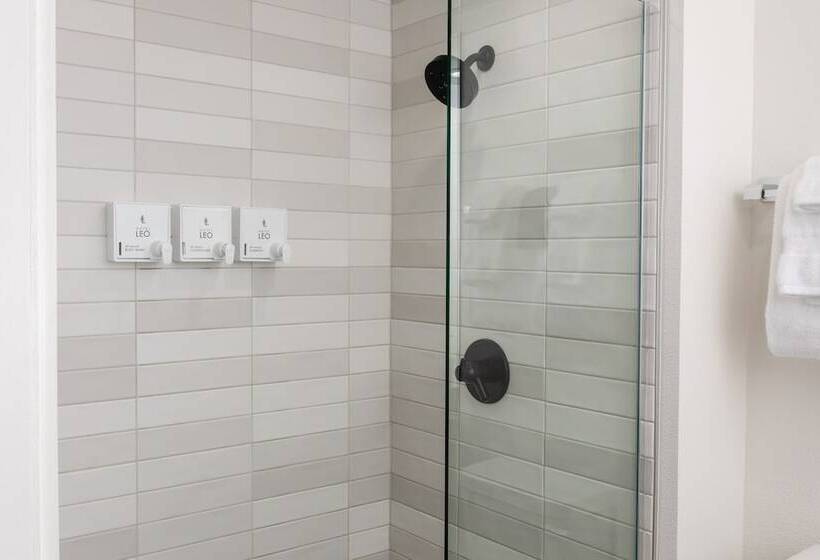 إستوديو قياسى, Leo