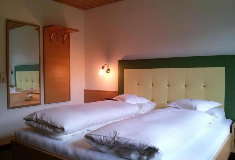 اتاق استاندارد با بالکن, Garni Erler