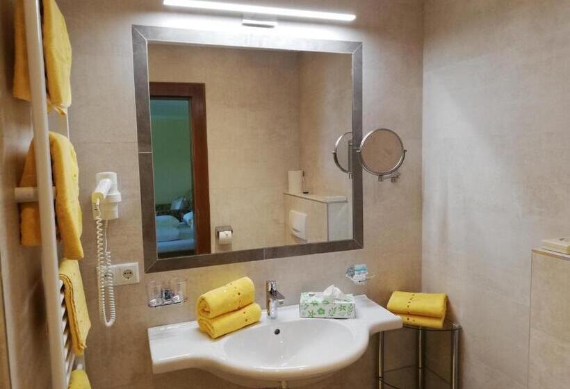Comfort room with balcony, Garni Erler