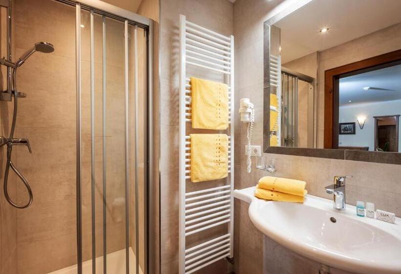 Comfort room with balcony, Garni Erler