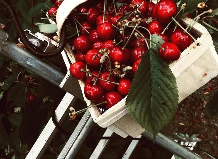 مجموعه ویستا شهر, Cà Rossa #exclusive