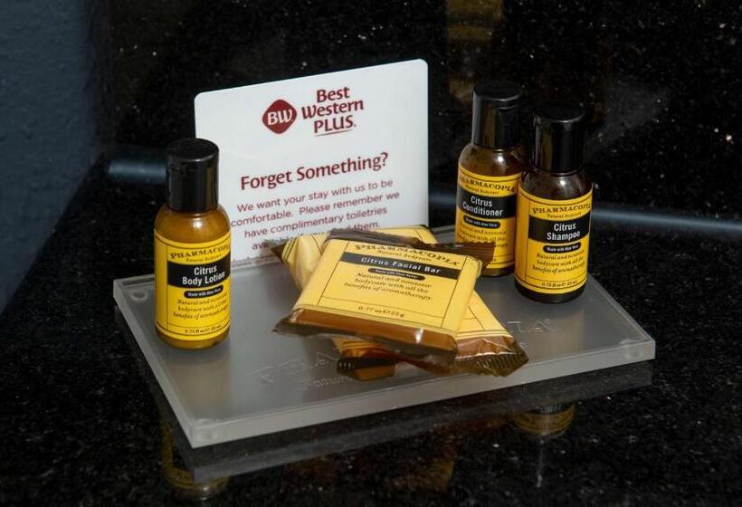 غرفة قياسية, Best Western Plus Beckley Inn