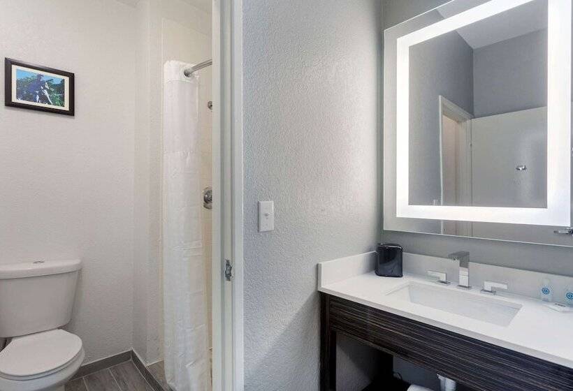 身障者適用スイートルーム, Comfort Inn & Suites