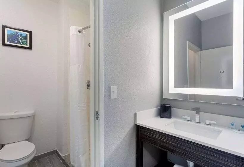 身障者適用スイートルーム, Comfort Inn & Suites