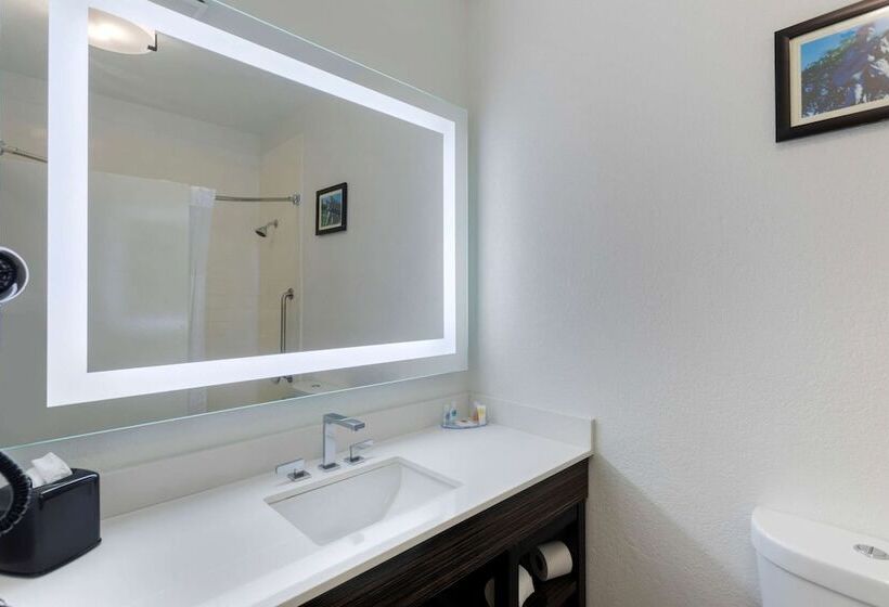 장애인을 위한 스위트, Comfort Inn & Suites