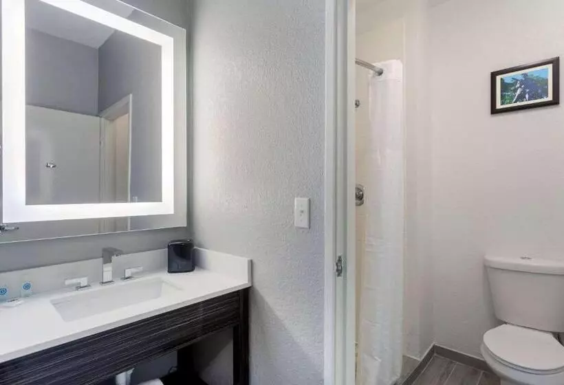 スタンダードルーム, Comfort Inn & Suites