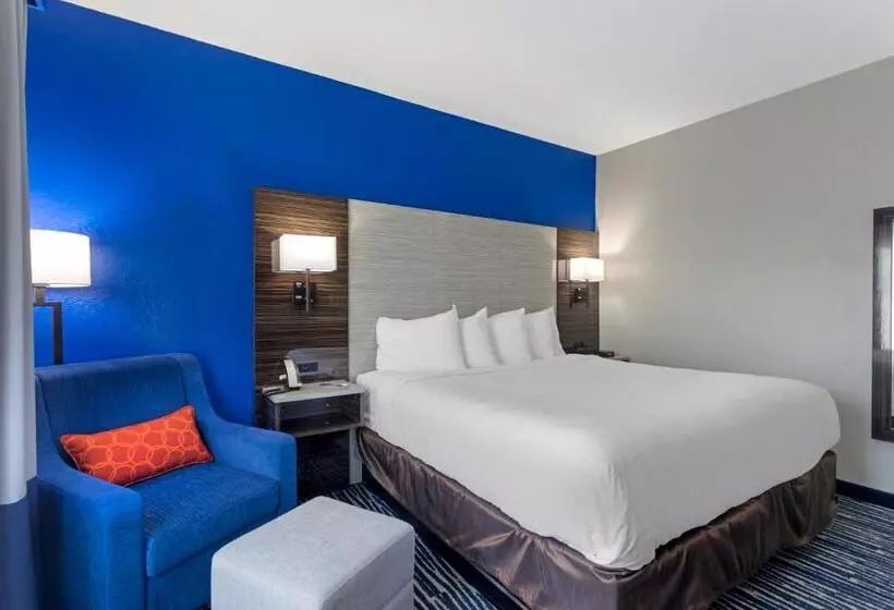 キングサイズベッドのスタンダードルーム, Comfort Inn & Suites